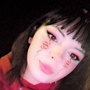 Meet your Posher, Kamerin